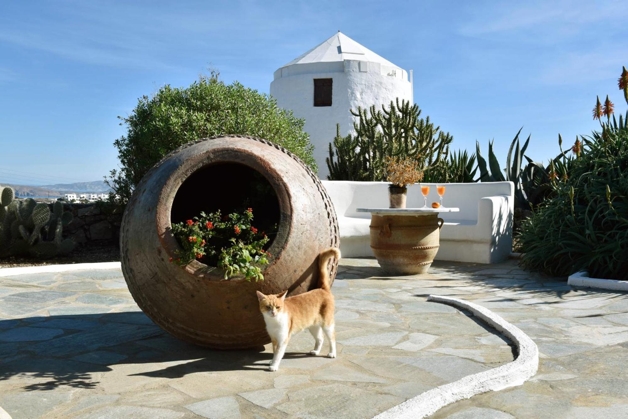Anastasia'S Windmill And Anastasia'S Studio Plaka  Buitenkant foto